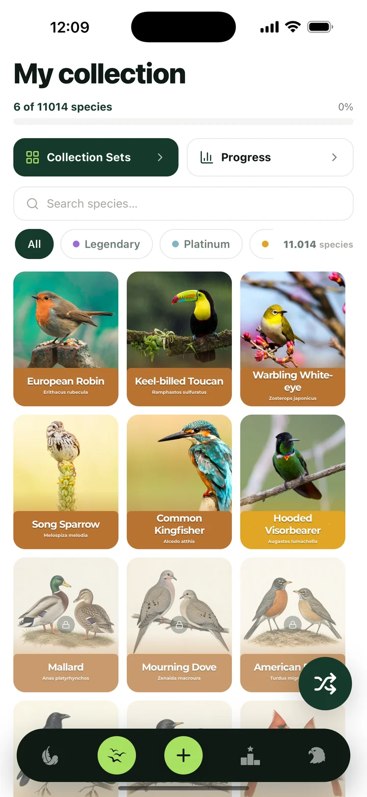 Bird Collector – Sammlung / My collection