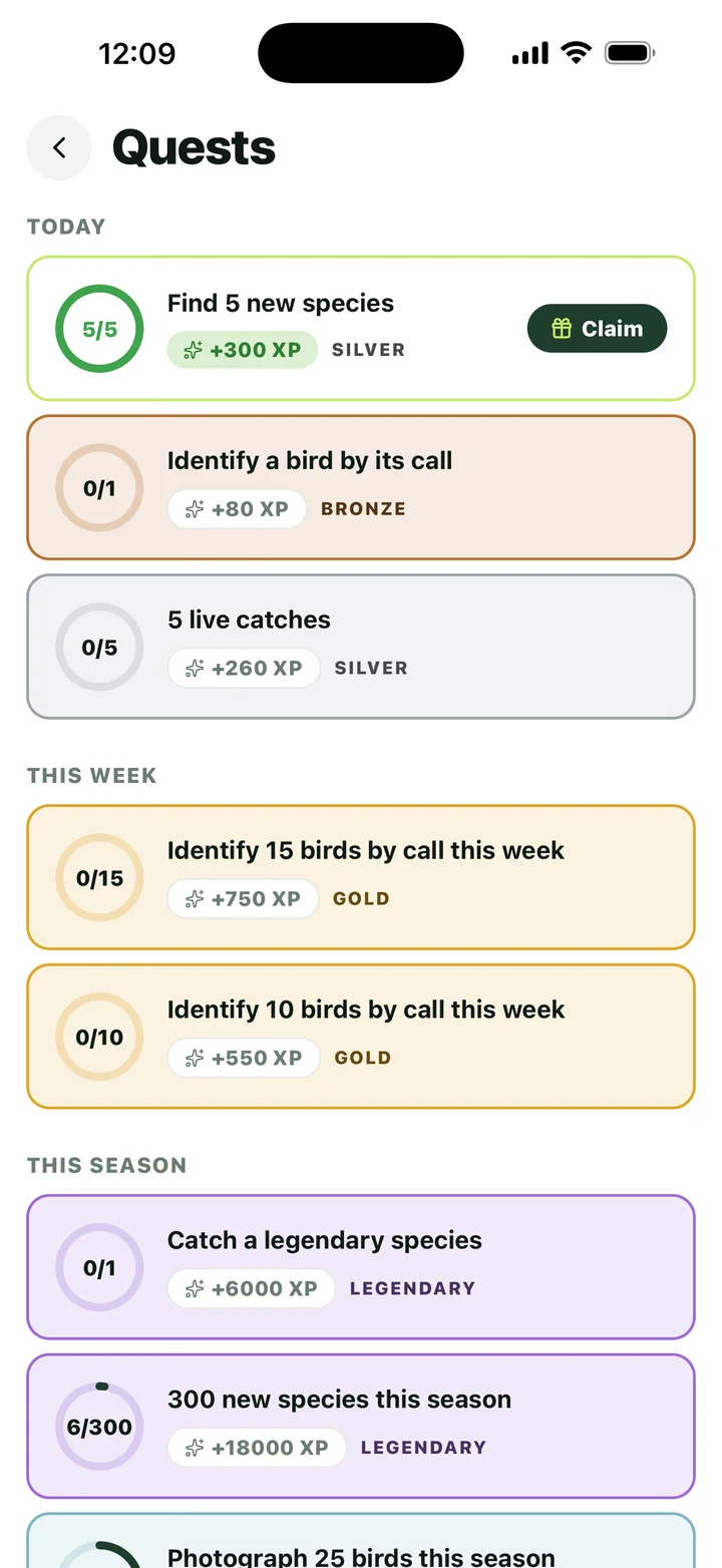 Bird Collector – Quests / Aufgaben